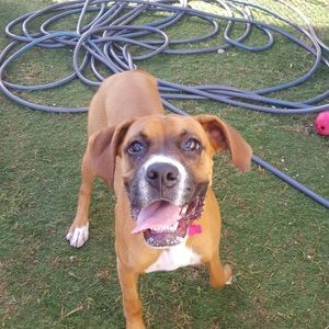 Meet your Posher, Shannon